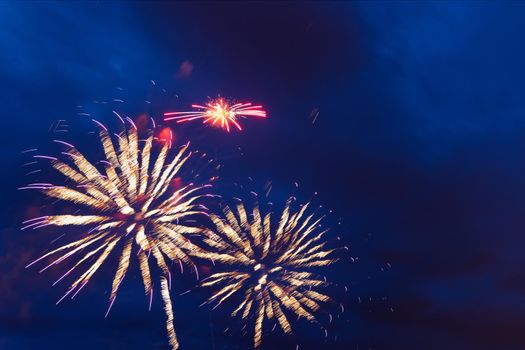 Brightly colorful fireworks and salute of various colors in a night sky. Independence Day, 4th of July, Fourth of July or New Year.