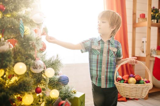 Cute little boy of about five year with blue eyes decorating a Christmas tree. .