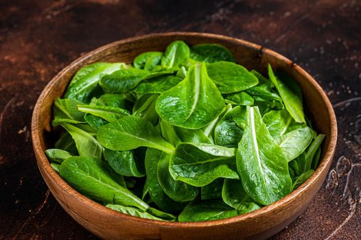 Young romain green salad leaves in wooden plate. Dark background. Top view.