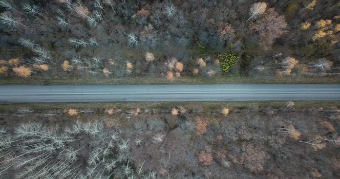 Aerial video of the road in the middle of a autumn forest. Fall