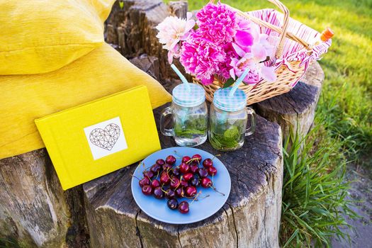 Bright and delicious picnic in nature-a healthy day