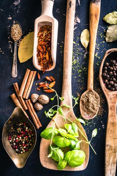 wooden spoons with spices and herbs on textured black background