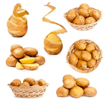 photo collage of potatoes isolated on white background