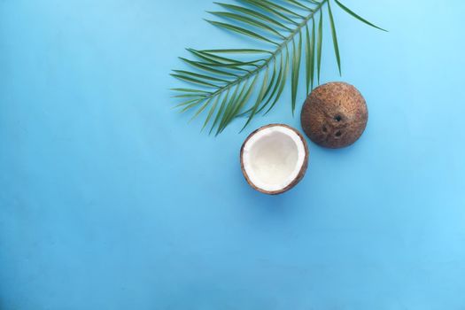 slice of fresh coconut on a table cloth .