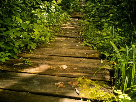 wooden path in the grass. close-up. beautiful natural background of old boards in greenery