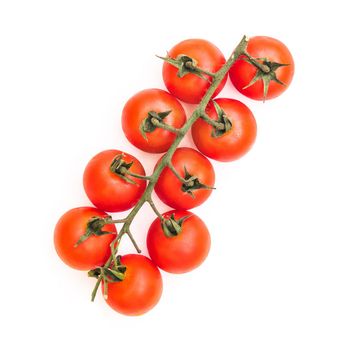 ripe tomatoes on a branch isolated on white background