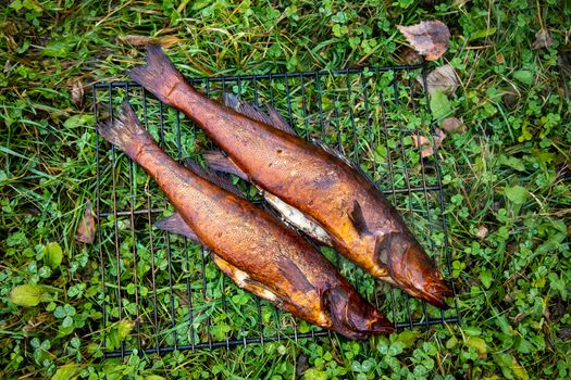 chilled smoked river fish lies on the grate on the grass