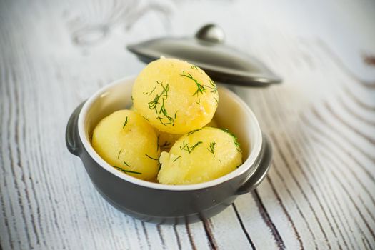 early boiled potato with butter and fresh dill in a ceramic bowl