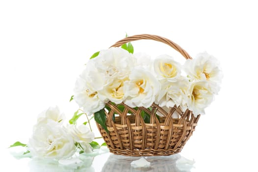 bouquet of beautiful white roses isolated on white background