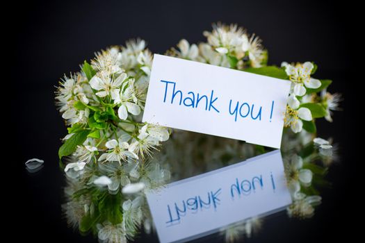 thank you card and blooming spring branch with flowers isolated on black background