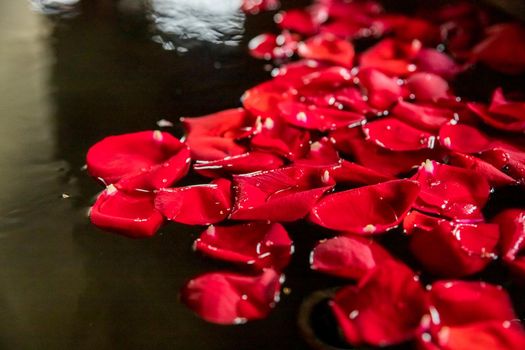 Rose petals and jasmine in the jacuzzi