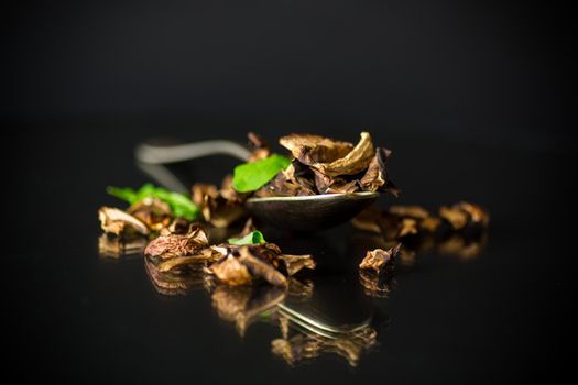 dried forest edible mushrooms isolated on black background