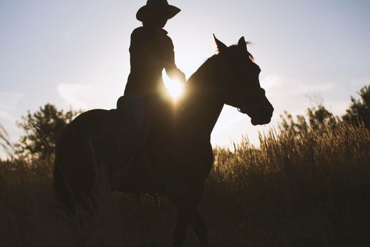 Silhouette of a woman riding a horse - sunset or sunrise, horizontal, telephoto