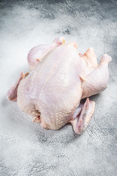 Raw free range whole chicken on a kitchen table. White background. Top view.