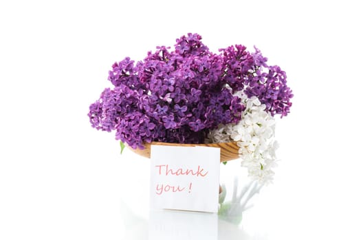 bouquet of beautiful blooming lilacs in a vase isolated on white background