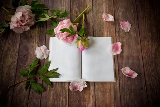 beautiful pink blooming peonies on a detailed blank notebook