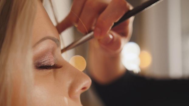 Makeup artist creates makeup for attractive young woman, telephoto, close up