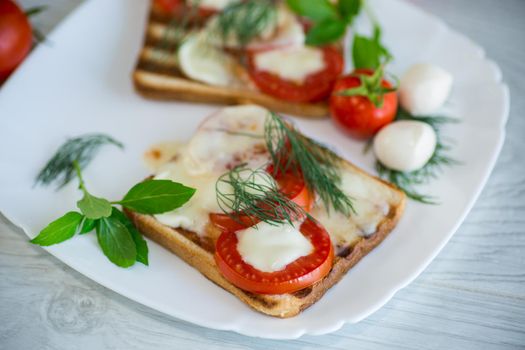 fried hot toast with mozzarella and tomatoes in a plate on a wooden table