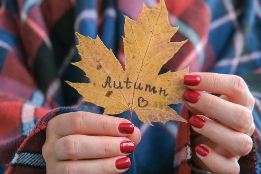 Stylish red female nails. Fall leaf with text AUTUMN in hands. Modern Beautiful manicure. Autumn winter nail design concept of beauty treatment. Gel nails. Skin care. Wellness. Trendy colors.