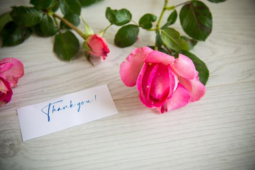 pink beautiful summer roses on a light wooden table