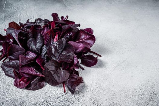 Leaves of Swiss red chard or Mangold salad. White background. Top view. Copy space.