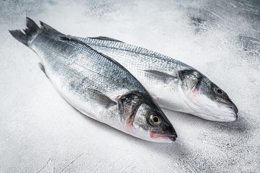 Fresh raw seabass fish on kitchen table. White background. Top view.