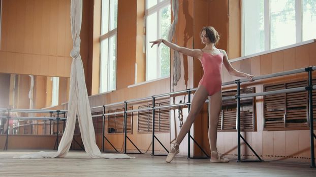 Graceful girl in pink dress and pointe shoes ballerina practicing in the Studio, horizontal