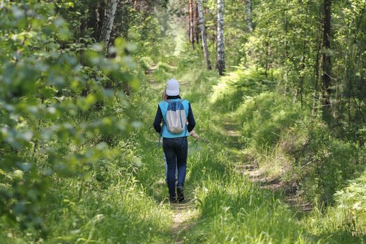 Teenager girl walking in forest at summer day, rear view, telephoto