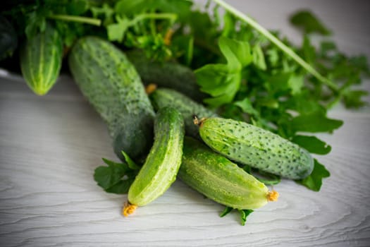 fresh organic cucumbers with herbs on a wooden table