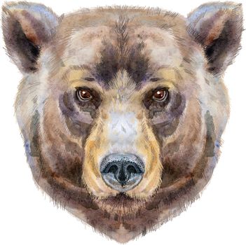 Bear portrait. Watercolor brown bear painting illustration. Beautiful wildlife world