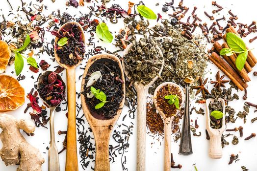 Virious kinds of tea in wooden spoons on white table