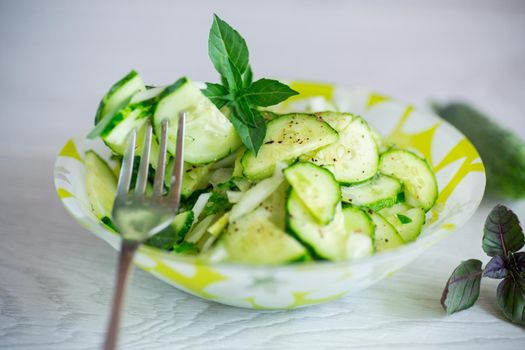 fresh organic cucumber salad with herbs and basil in a plate on the table