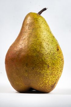 Large pear tree on white isolated background.