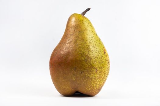 Large pear tree on white isolated background.