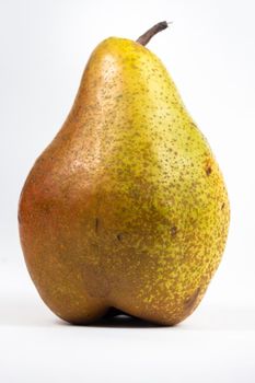 Large pear tree on white isolated background.