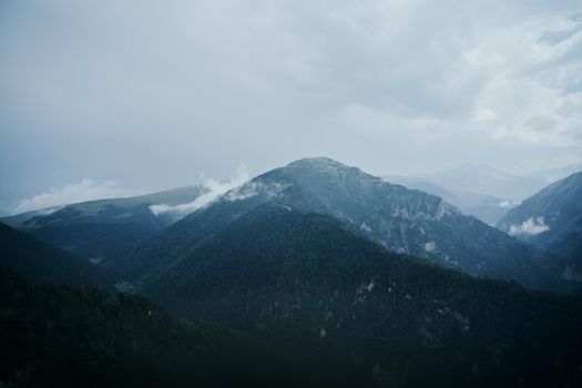 Field flowers mountains travel adventure nature. High quality photo