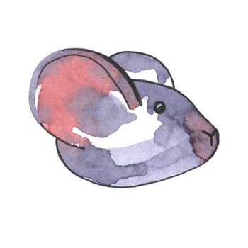 Mouse watercolour illustration. Funny icon of animal. Grey rat with pink ears isolated on white background. 2020 new year painting symbol. Drawing art object for design.