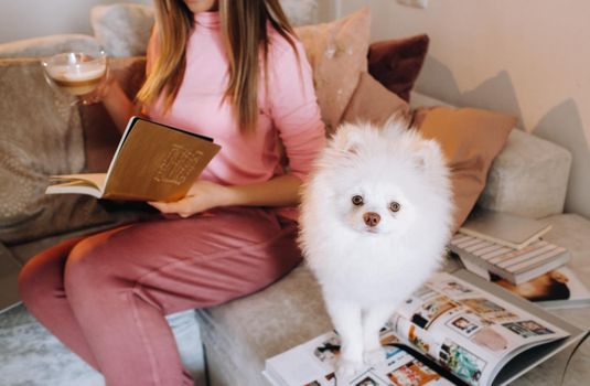 a girl in pajamas at home reads a book with her dog Spitzer, the Dog and its owner are resting on the sofa and reading a book.Household chores.