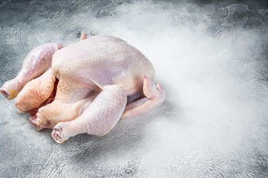 Raw free range whole chicken on a kitchen table. White background. Top view. Copy space.
