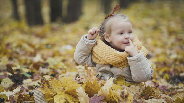 Little blonde girl plays with yellow leaves in autumn park - the girl is happy and laughing, telephoto