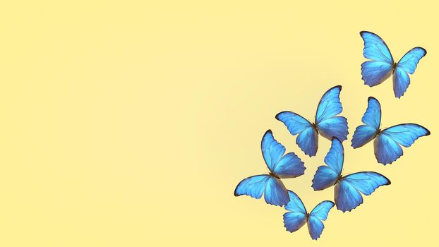 flight of summer blue butterflies. butterfly on a light background. 3d rendering.