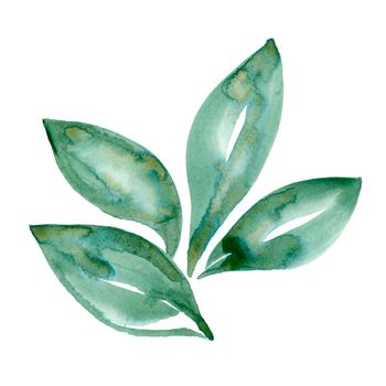 Watercolor green leaf nature ecology sign isolated on white background. Hand painting Illustration with foliage for print, texture, wallpaper or eco plant element. Beautiful watercolour floral art.