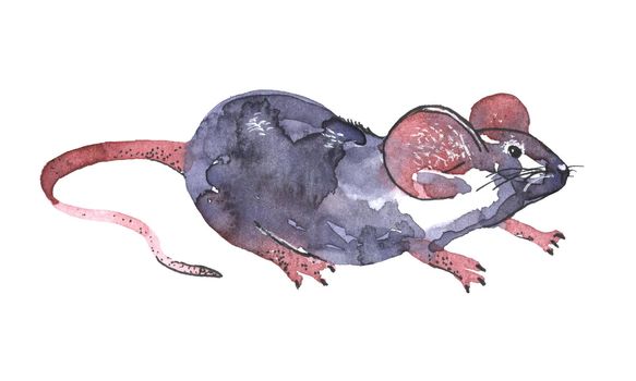 Mouse watercolour illustration. Funny icon of animal. Grey rat with pink ears isolated on white background. 2020 new year painting symbol. Drawing art object for design.