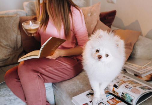 a girl in pajamas at home reads a book with her dog Spitzer, the Dog and its owner are resting on the sofa and reading a book.Household chores.