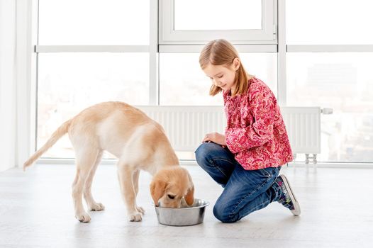 Lovely little girl giving food to her beautiful dog indoors