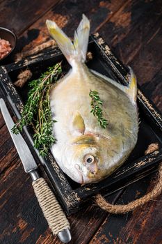 Raw fish butterfish or pompano with herbs in a wooden tray. Dark wooden background. Top view.