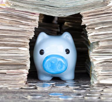house of a large number of packs of old money in which hid a blue pig piggy bank with coins of silver color, closeup, in focus a piggy bank