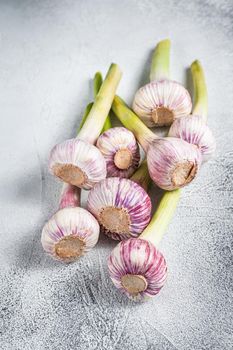 Spring young garlic bulbs on kitchen table. White background. Top view.