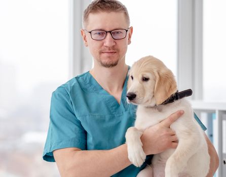 Handsome vet holding healthy young dog in clinic