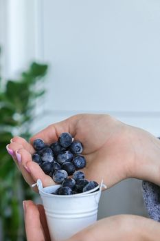 Woman holding metal bucket with Frozen blueberry fruits. Harvesting concept. Female hands collecting berries. Healthy eating concept. Stocking up berries for winter Vegetarian vegan food. Dieting nutrition